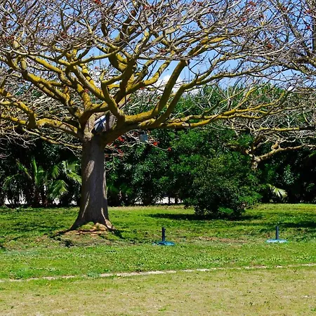 Camping Biscione 페트로지노