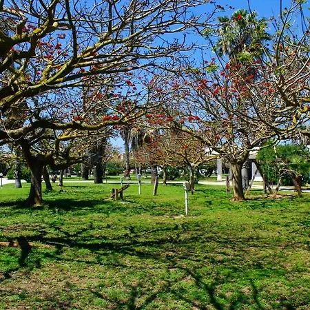 Camping Biscione
